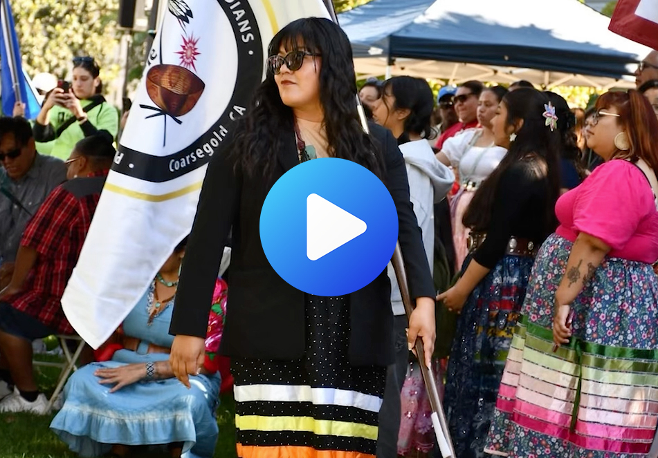 Video of the Week 050826
