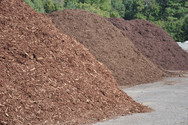 mulch