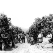 Virtual Community Talk: Latinidad in Ontario’s History 