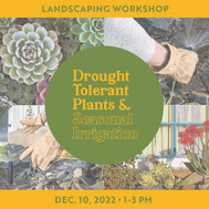 Dec. 2022 Landscape Workshop