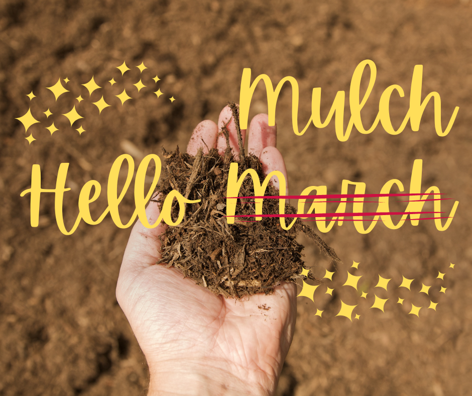 hello mulch
