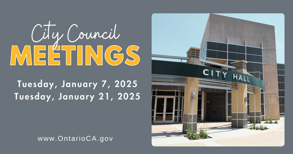 Council Meetings January