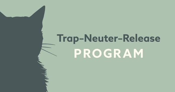 TNR_Program_2024