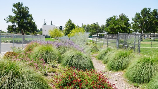 Water Conservation Resources