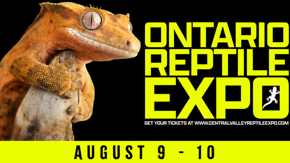 Ontario Reptile Expo