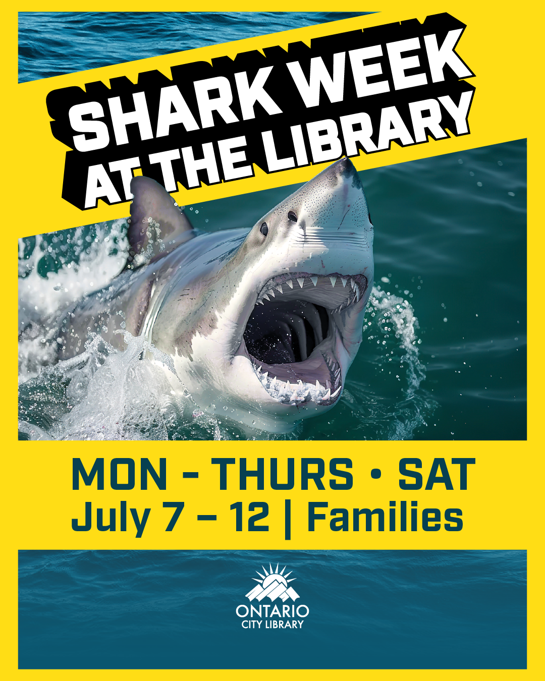 Shark Week Library