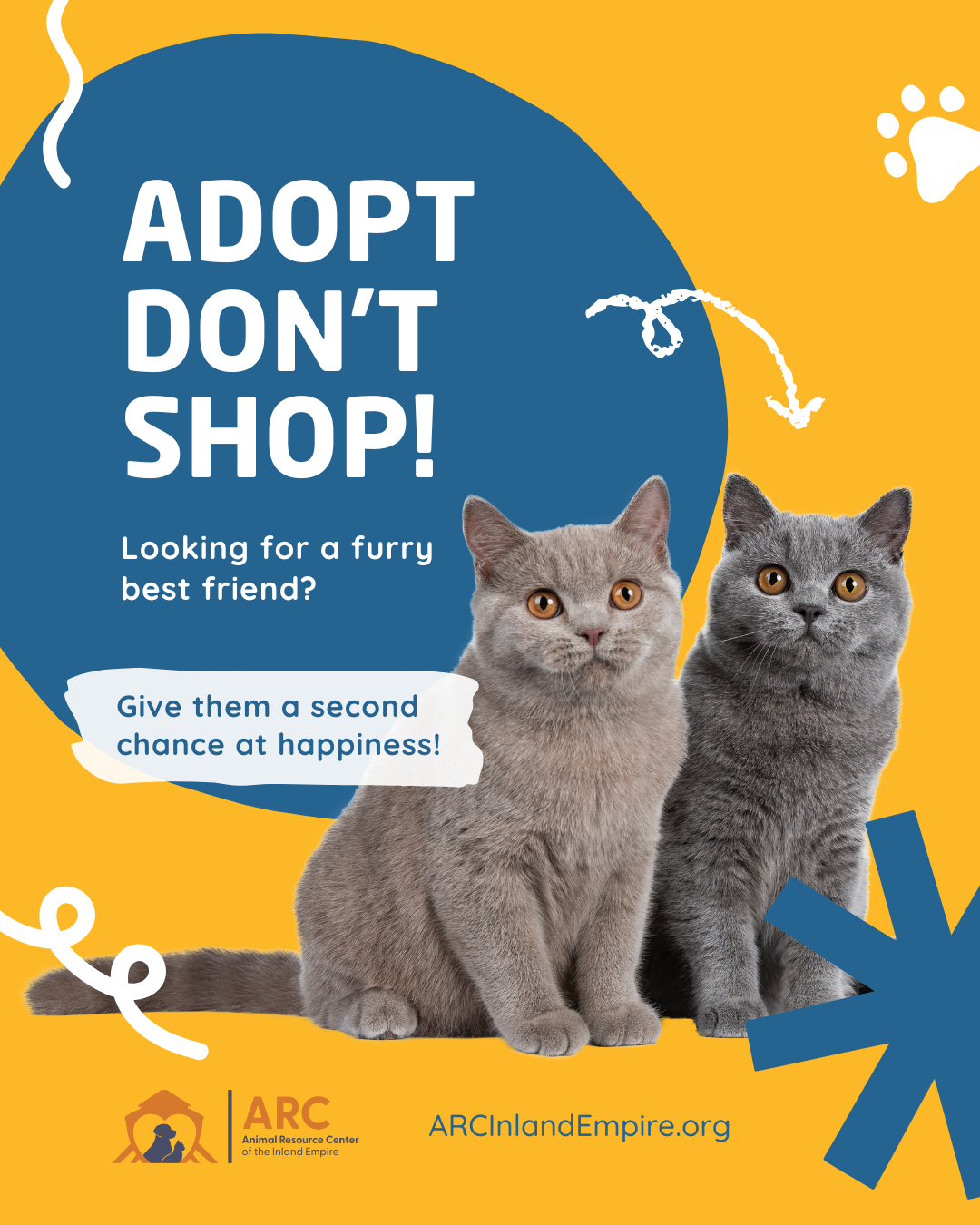 adopt don't shop