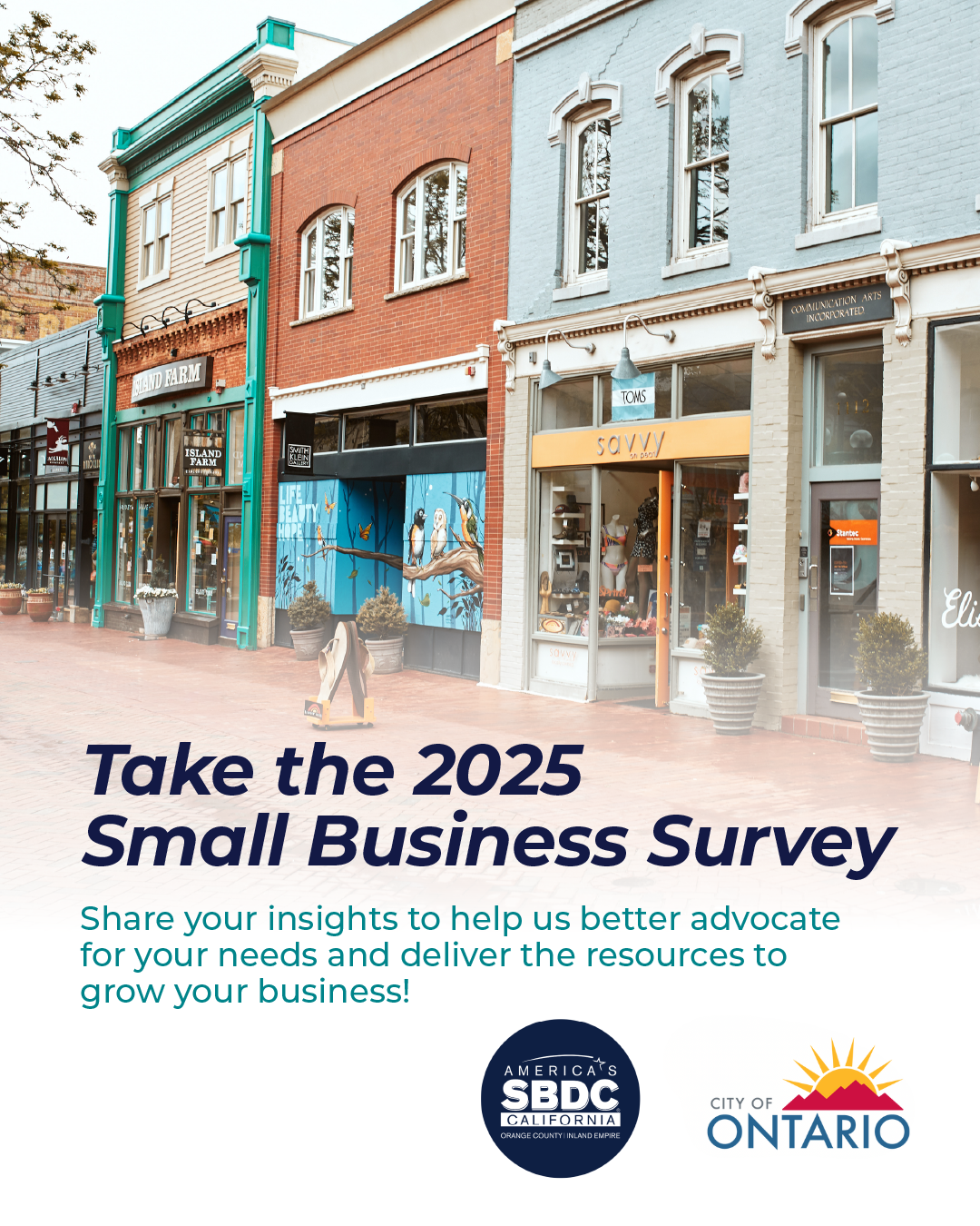 2025 Small Business Survey