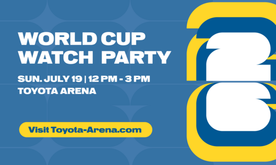 FIFA Watch Party