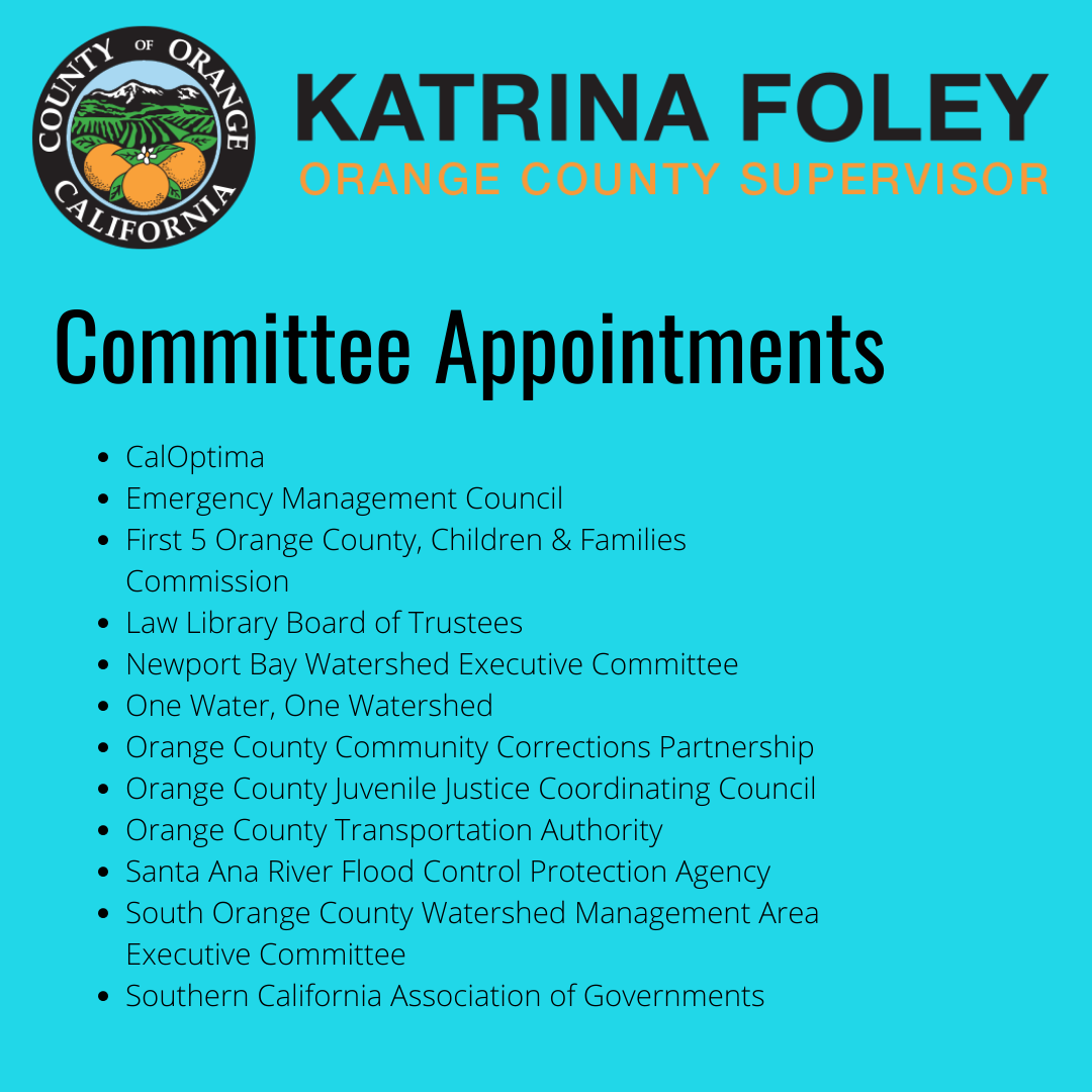 Committee Appointments