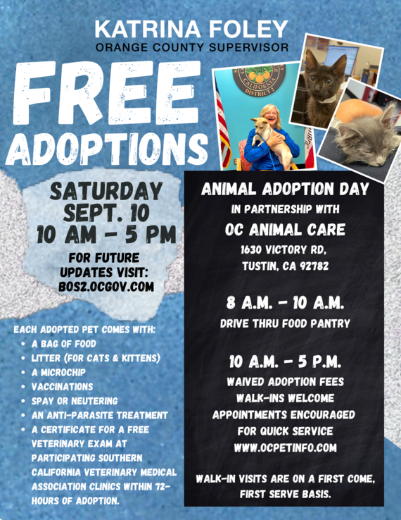 Adoption Day flyer