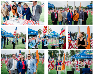 flag day collage