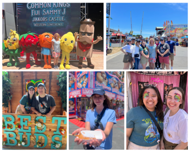 oc fair collage 2