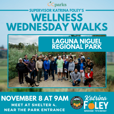 wellness walk november