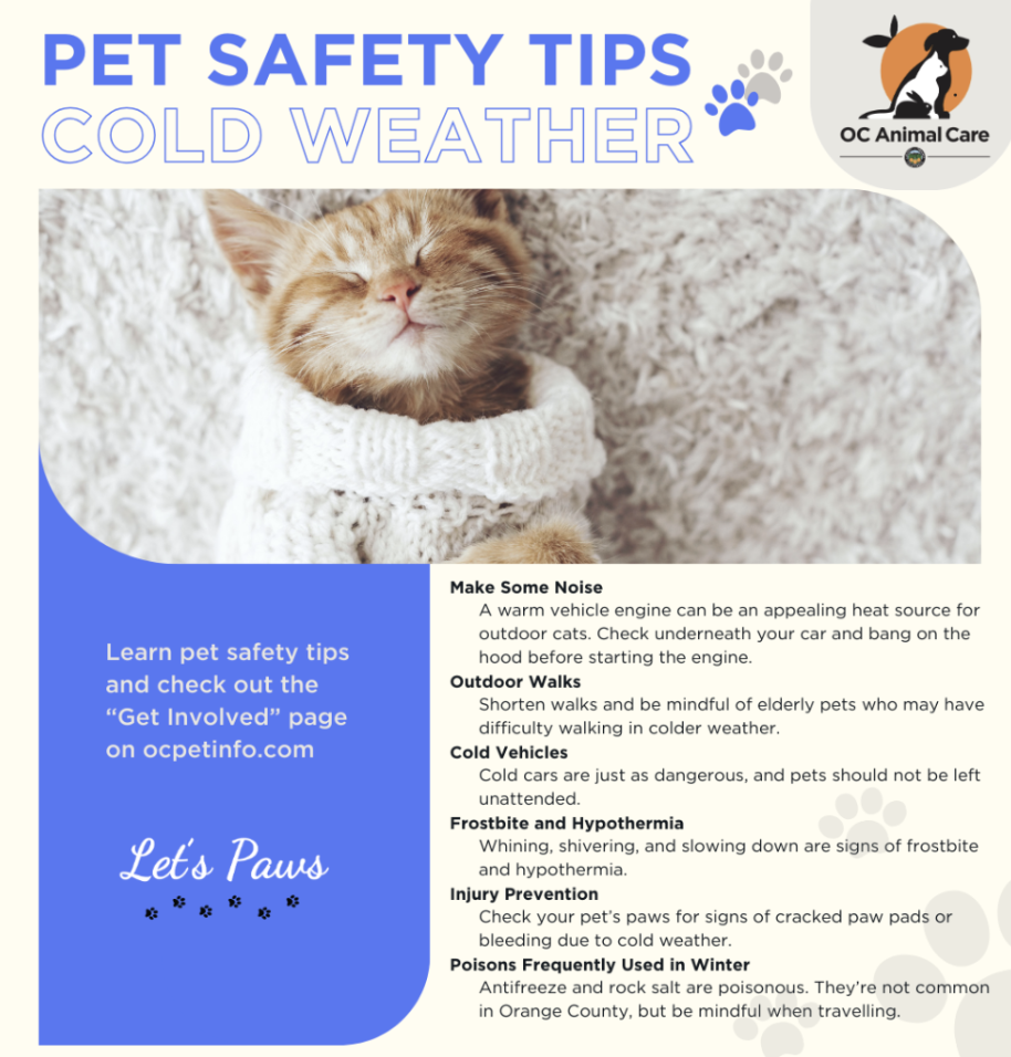 animal care winter tips