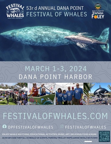 festival of whales foley