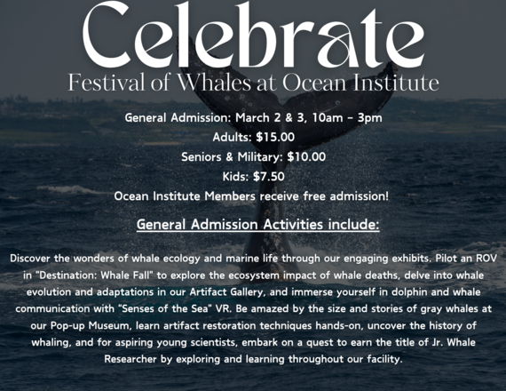 ocean institute festival