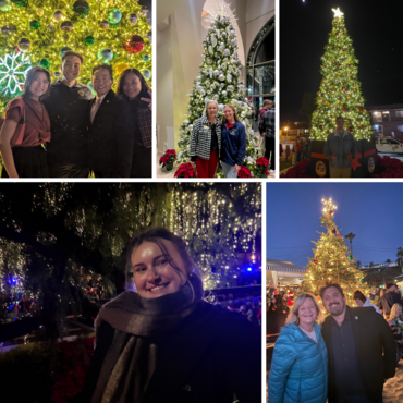 tree lighting collage 1
