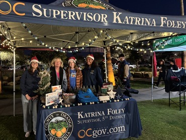 newport beach boat parade