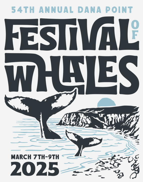 festival of whales 2025 flyer