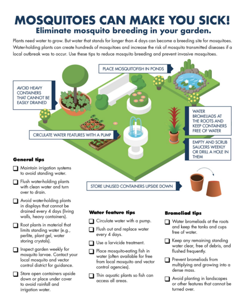 mosquitos can make you sick