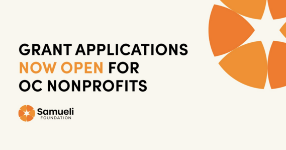 samueli foundation funding opportunities