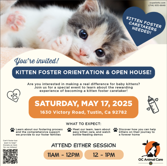 Join OCAC for their first Kitten Foster Orientation of the season on Saturday, May 17. 