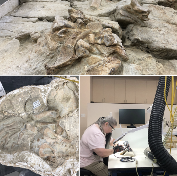  Orange County Historical Commission