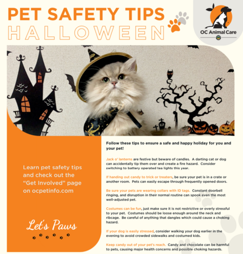 pet safety