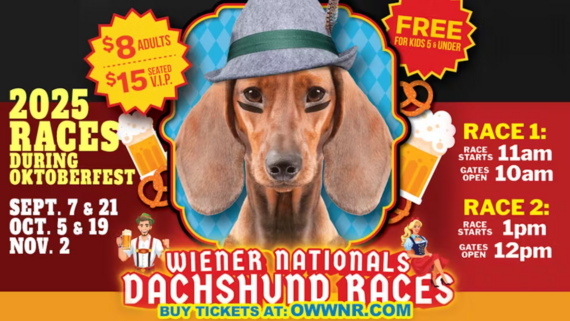 WeinerDog