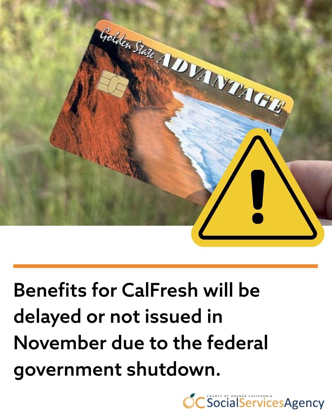 cal fresh resources 