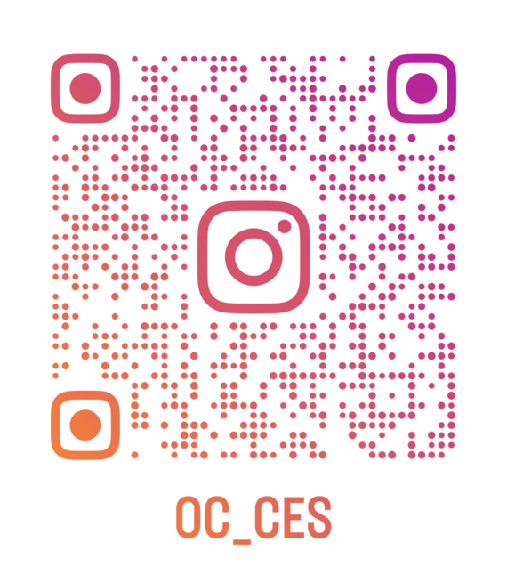 ces qr code