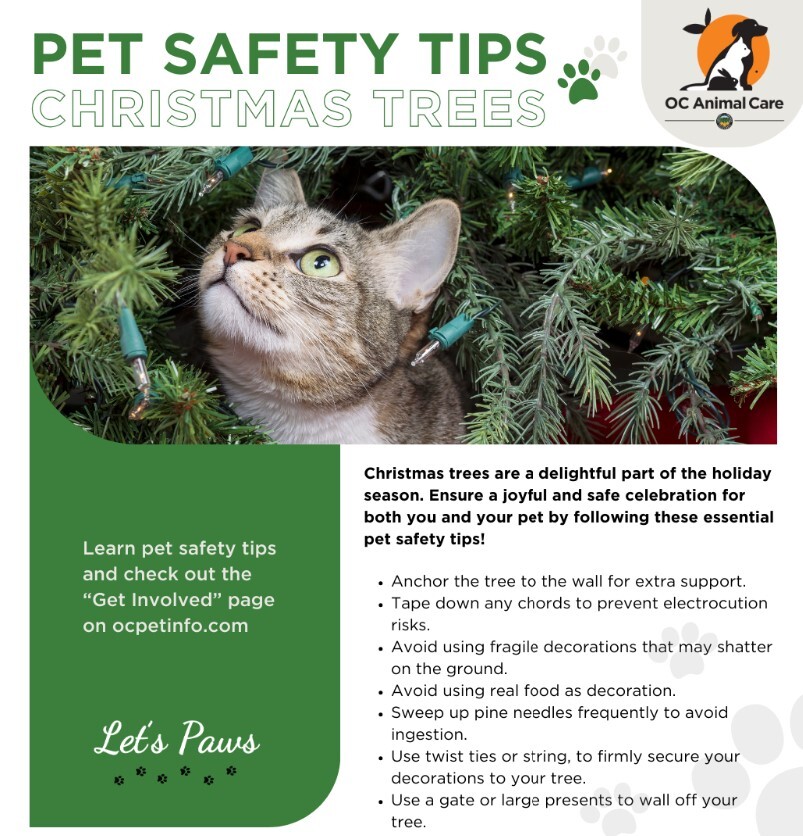 pet safety