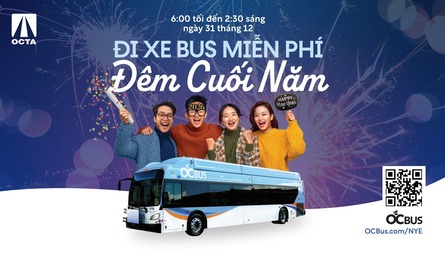 bus viet