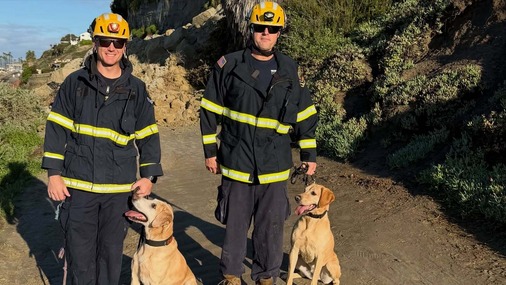 1.9.26 post of the week ocfa dogs in san clemente