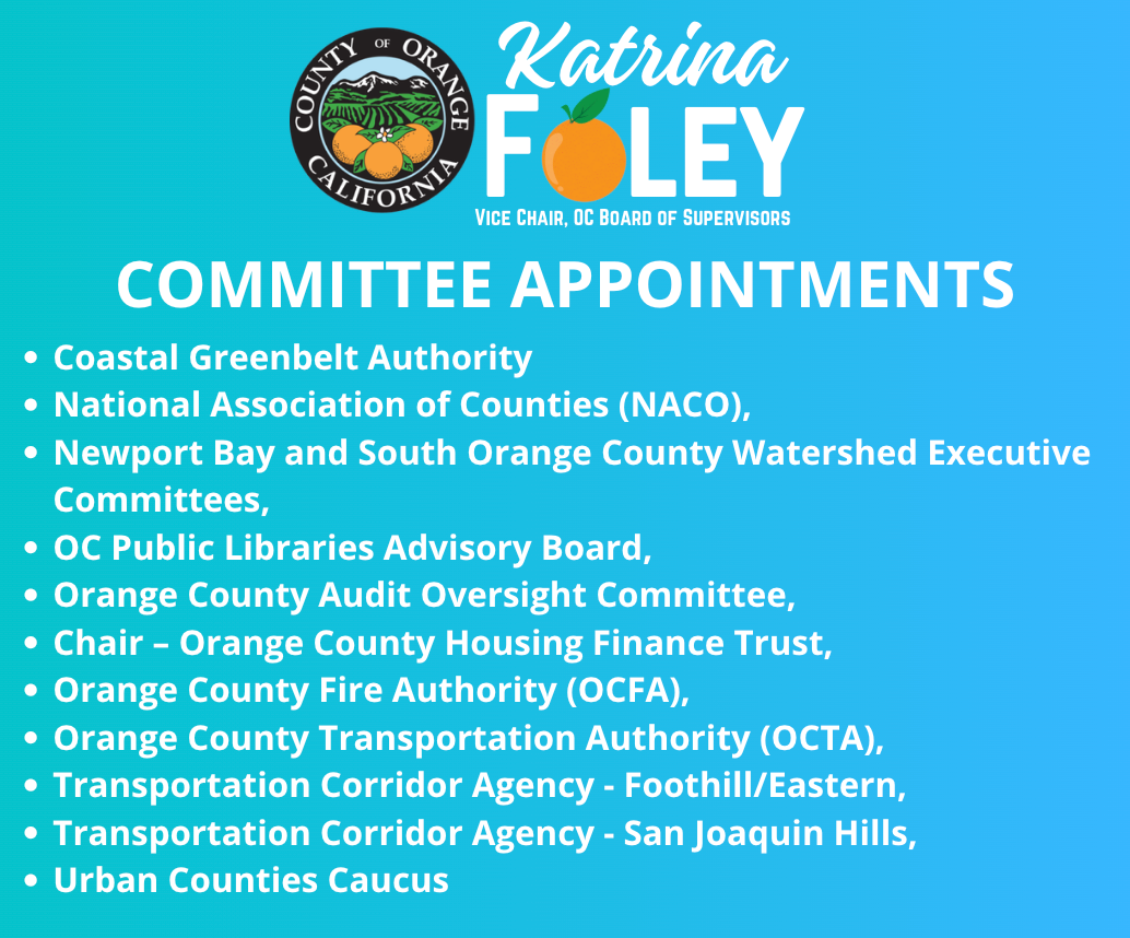 Committee Appointments 2026