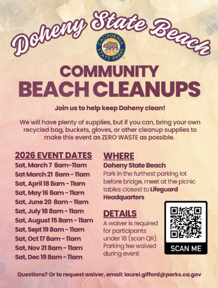 beach cleanup