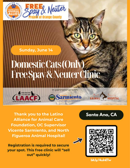 spay event