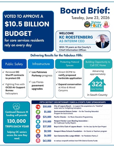 board brief