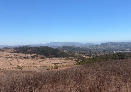 Photo of the Environmental Mitigation Area of the Prima Deshecha Landfill.  