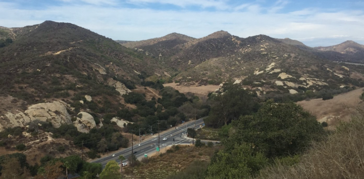 Laguna Canyon Road Updates
