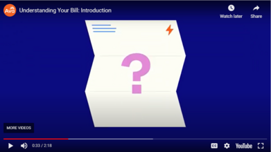 screenshot of Understand Your Bill explainer video