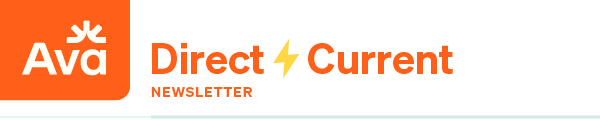 Ava Direct Current Newsletter