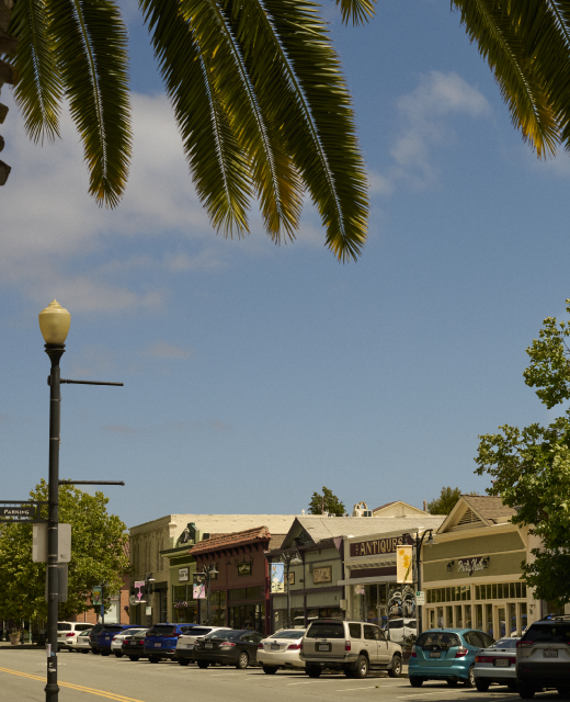 Fremont businesses