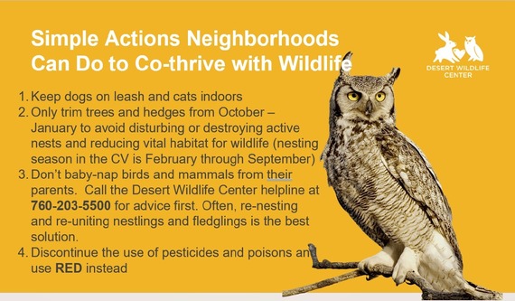 Desert Wildlife Center information