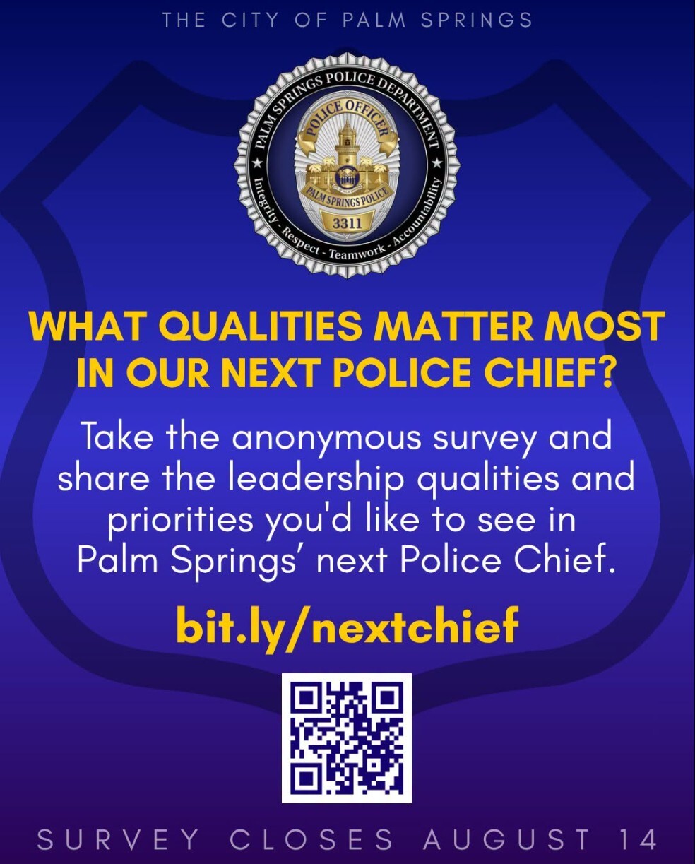 Police Chief Survey Flyer