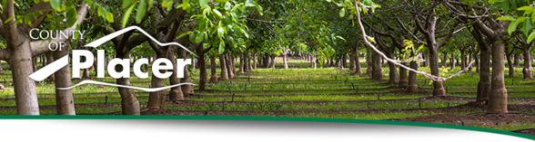 District 2 Newsletter Header