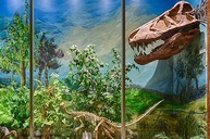 Sierra College Natural History Museum dinosaur exhibit