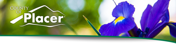Spring Header