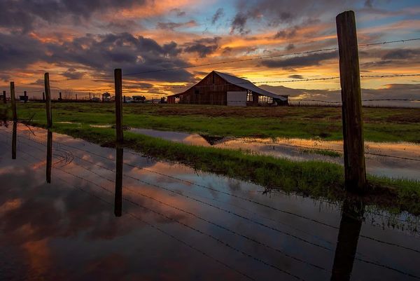 Photo of a barn on marshland at sunset. 